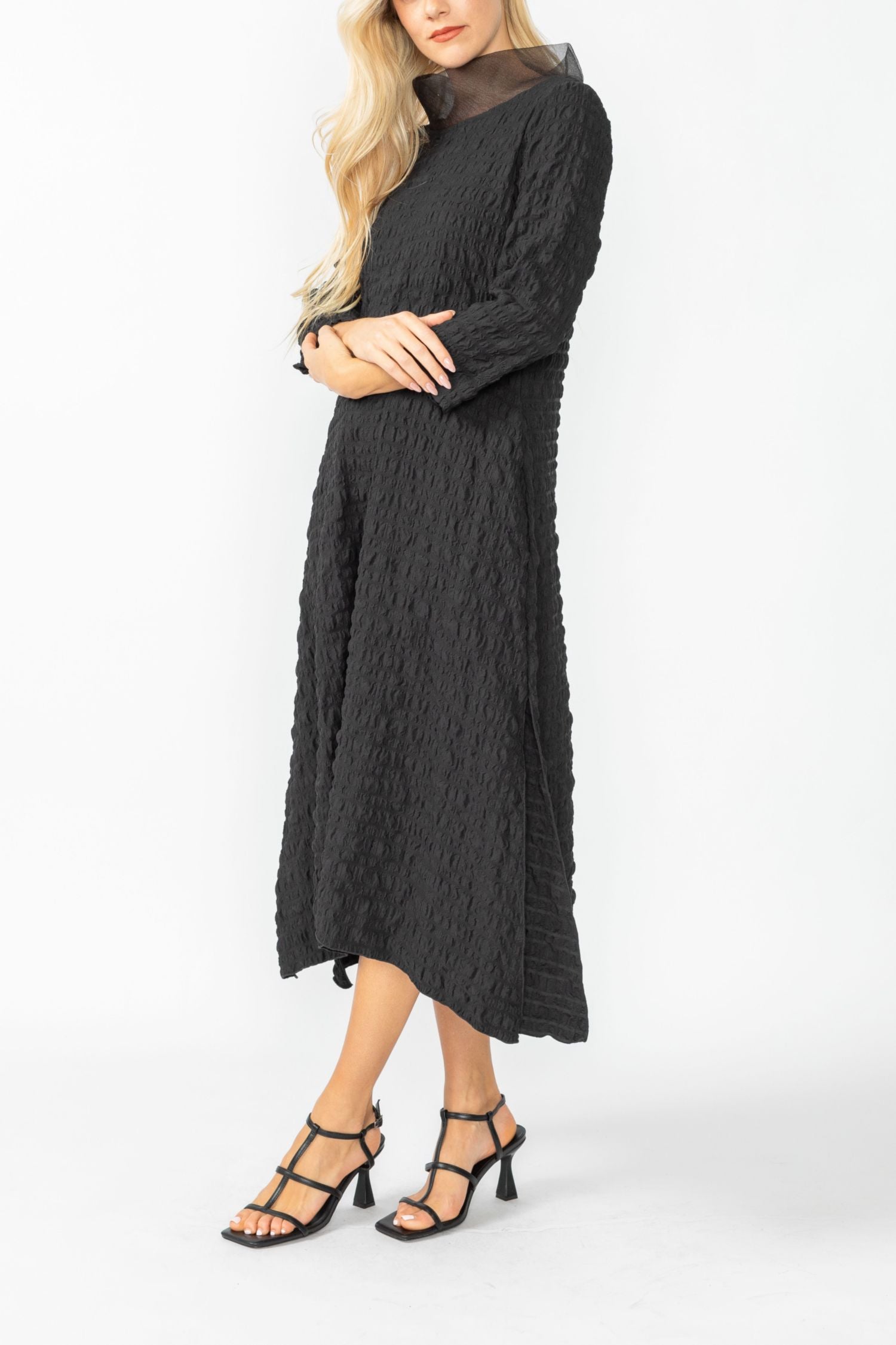 Black Organdy Stand Collar Dress