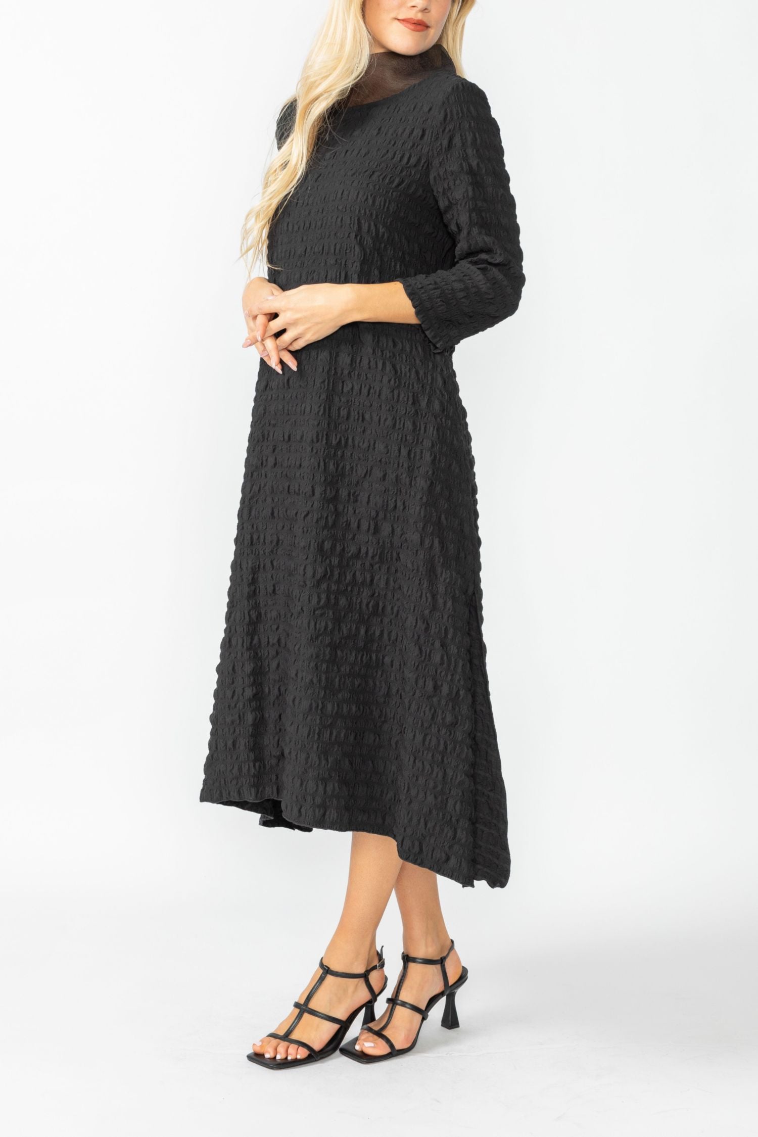 Black Organdy Stand Collar Dress