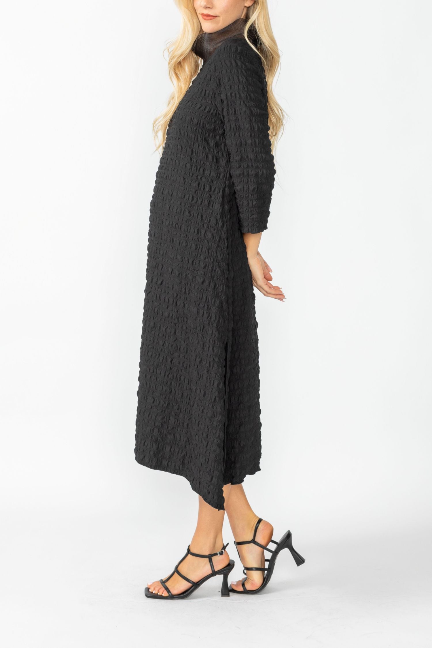 Black Organdy Stand Collar Dress