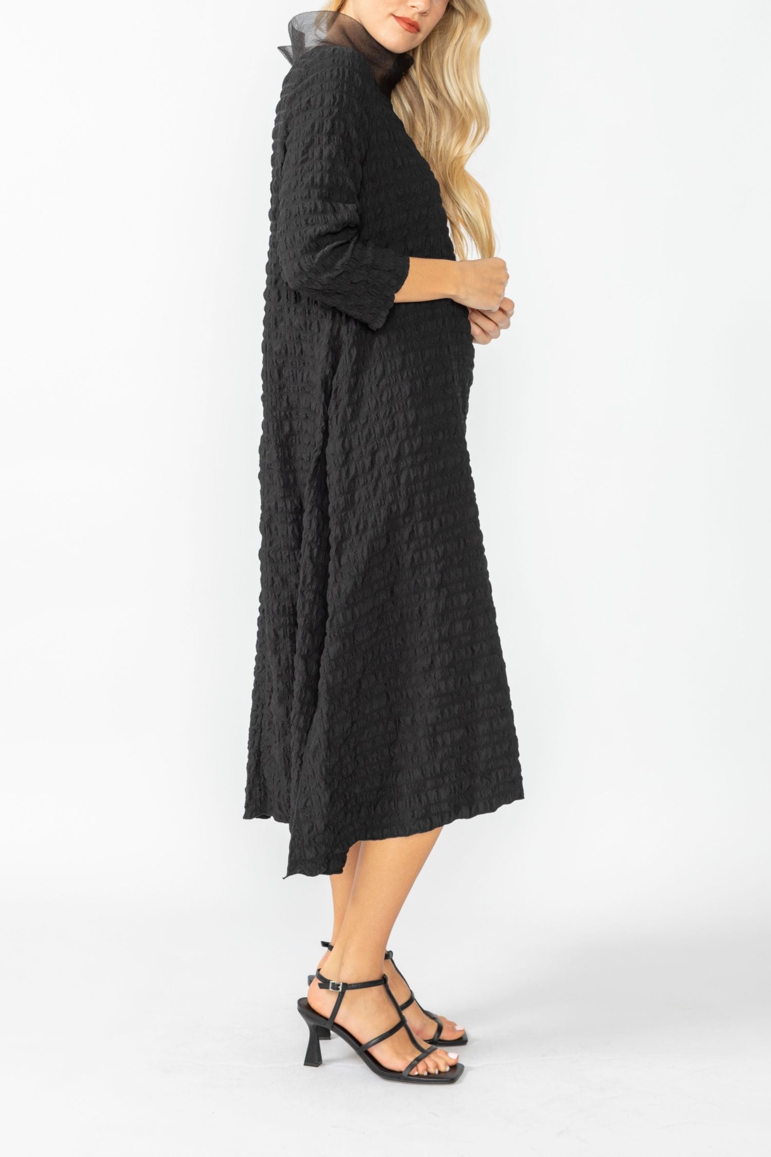 Black Organdy Stand Collar Dress