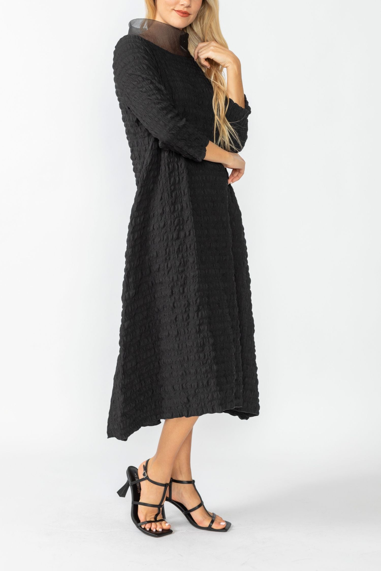 Black Organdy Stand Collar Dress