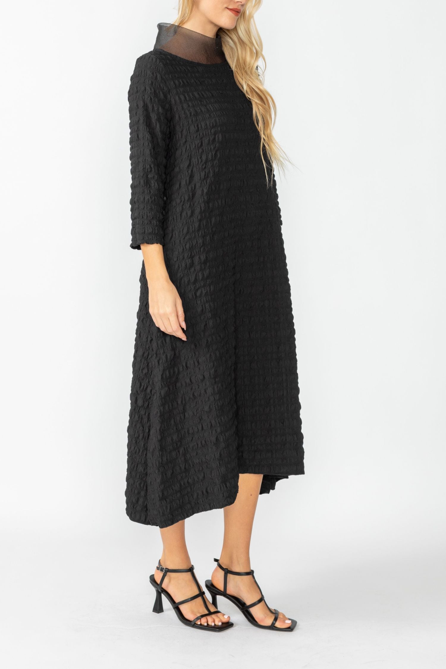 Black Organdy Stand Collar Dress