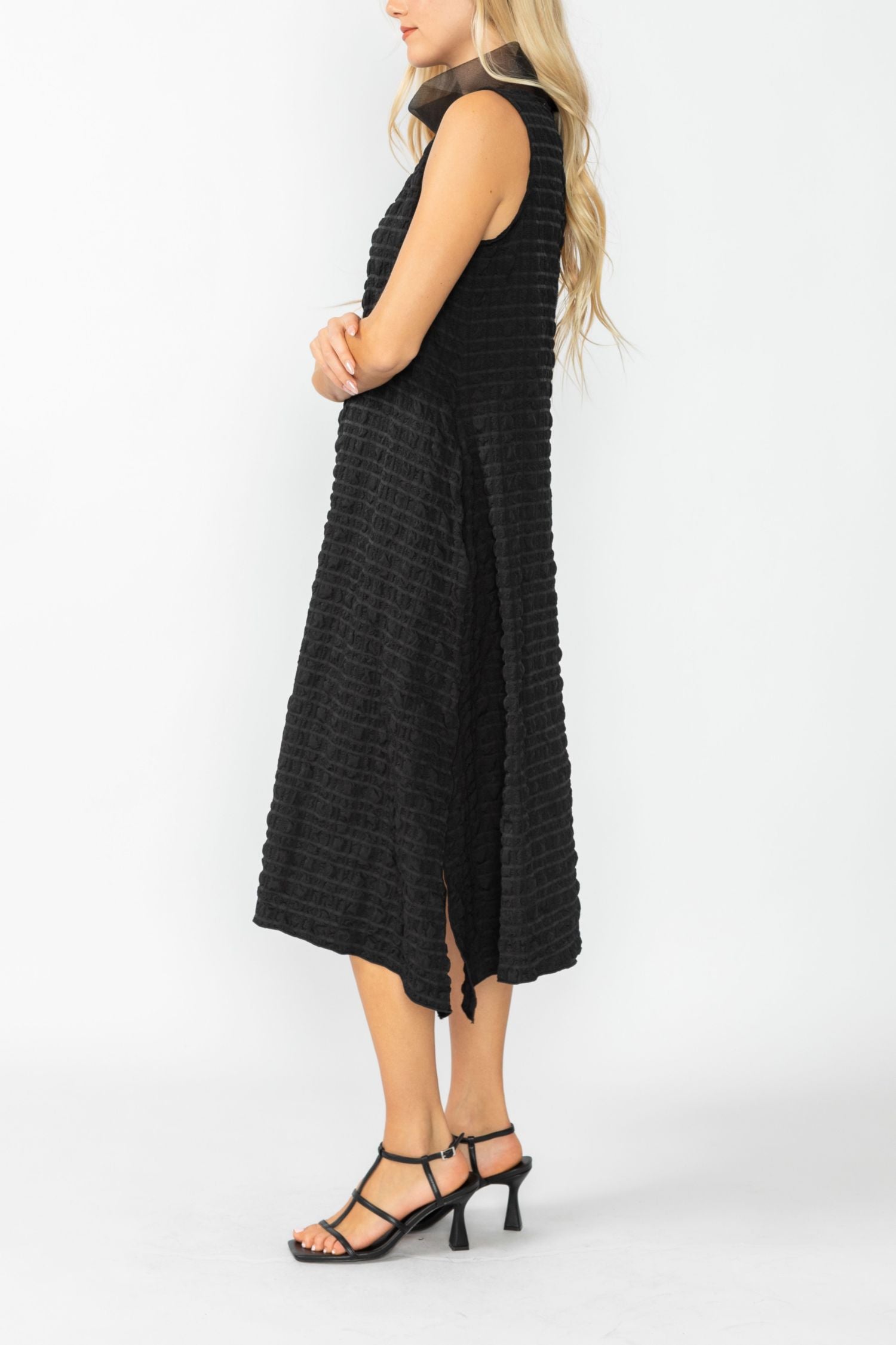 Black Organdy Stand Collar Dress