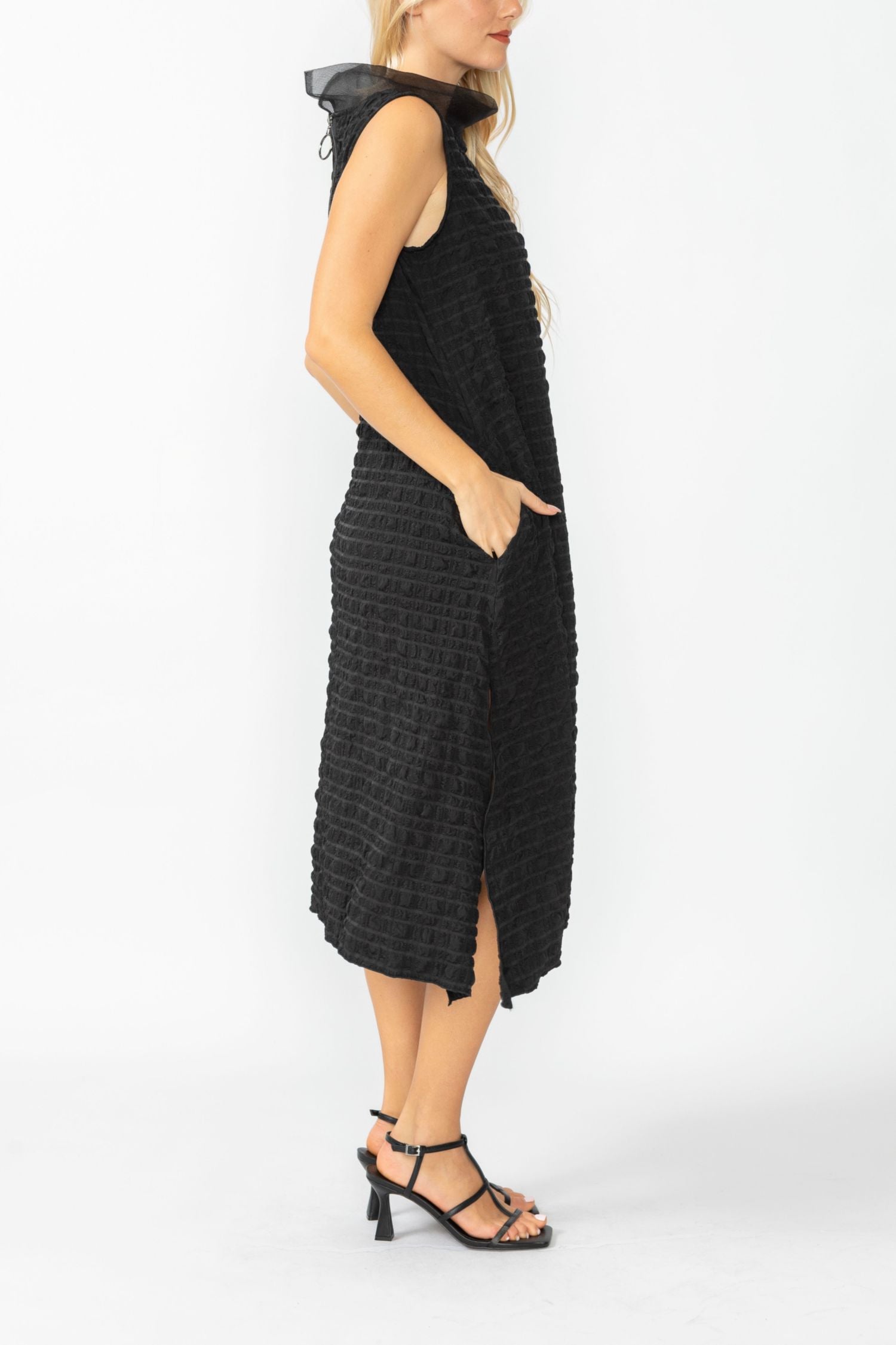 Black Organdy Stand Collar Dress