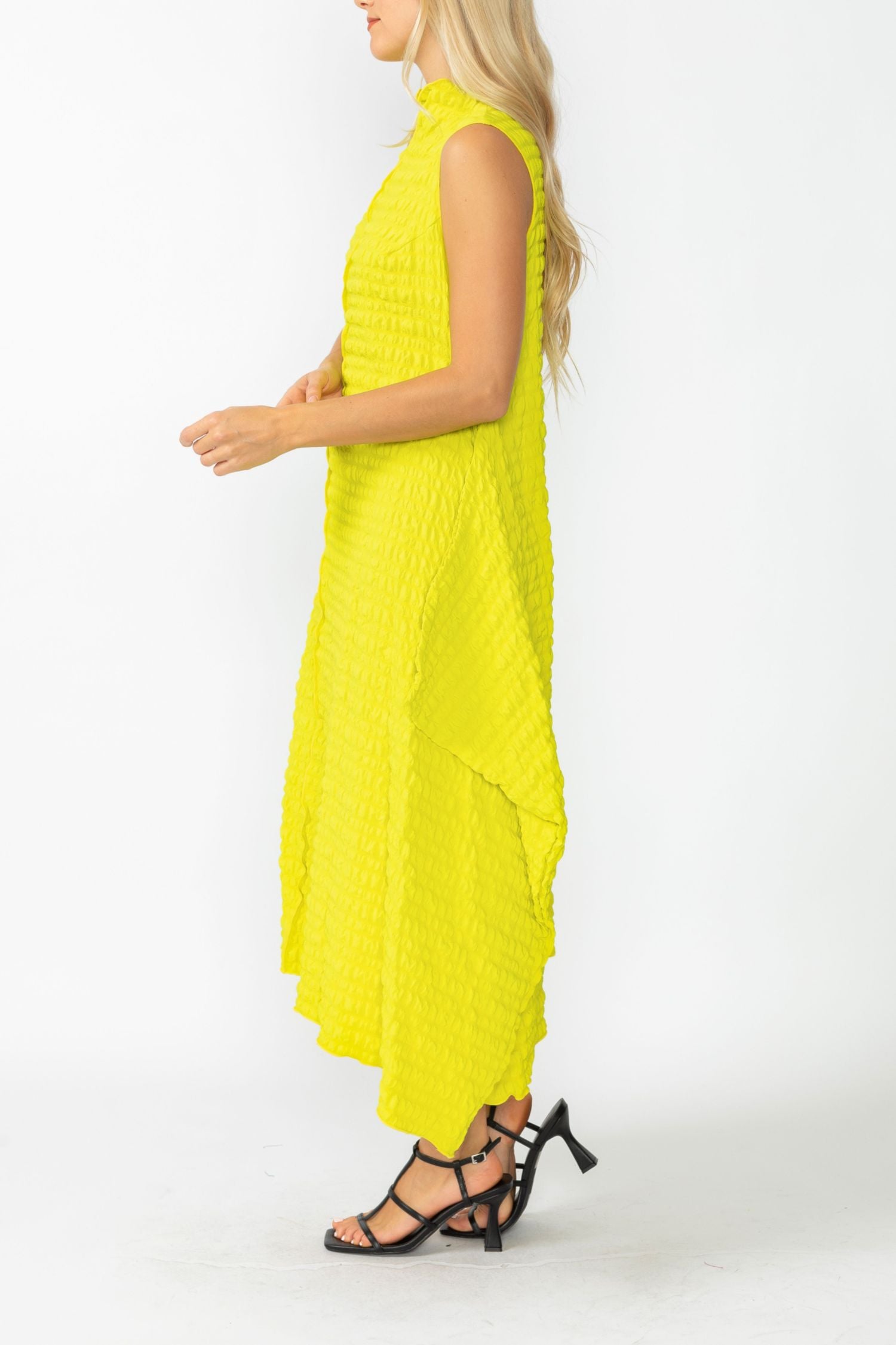 Acid Sleeveless High Neck Textured Dress