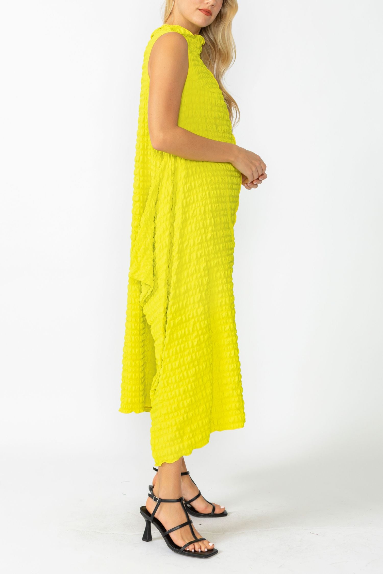 Acid Sleeveless High Neck Textured Dress